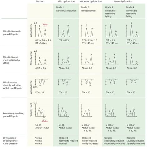 rf reading 0.992|Echocardiography (Normal values) .